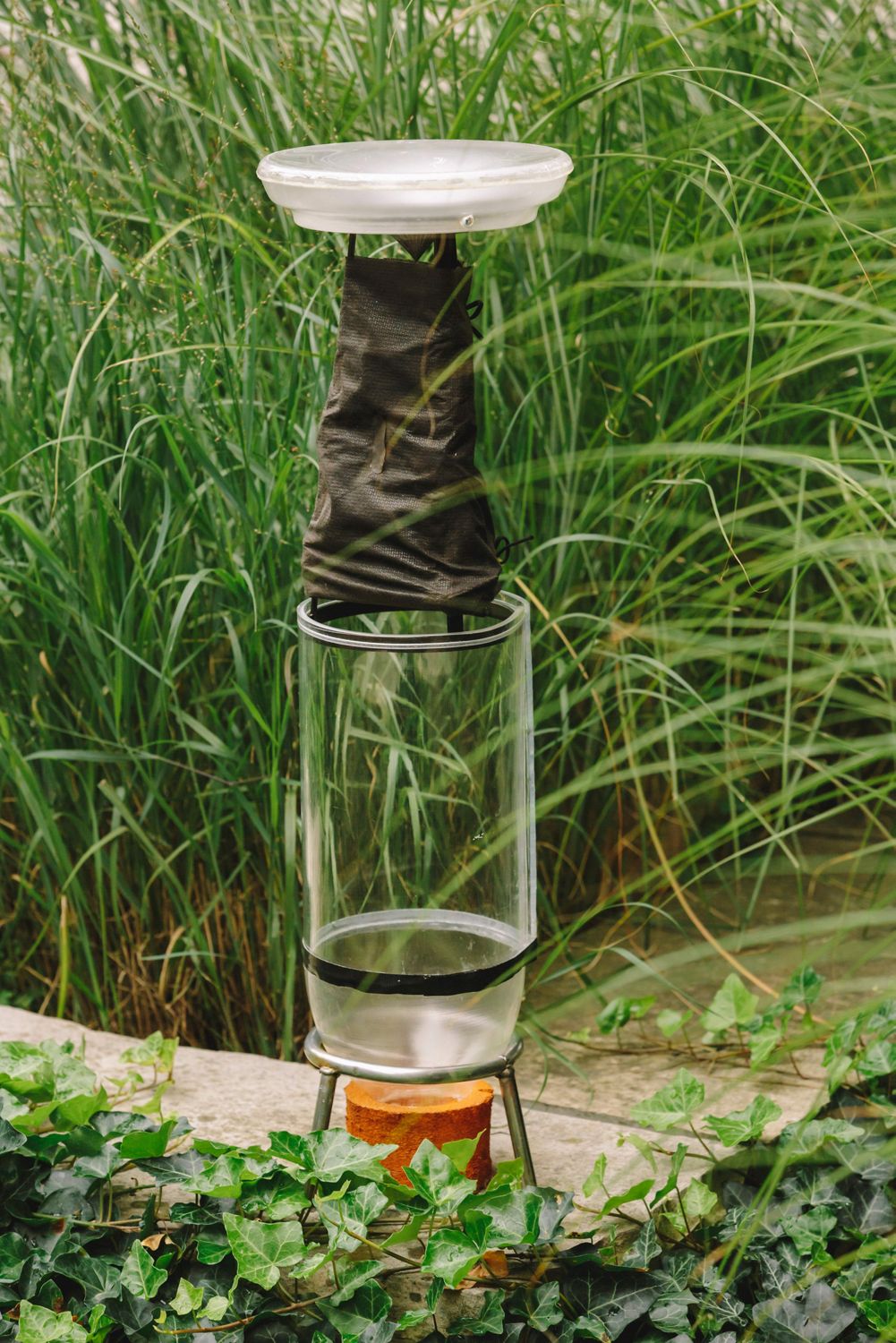 Carleton University student Kaleb Aman named Canadian national winner of the international award for his invention DewPointe, a sustainable irrigation system that uses bottom-up watering techniques.